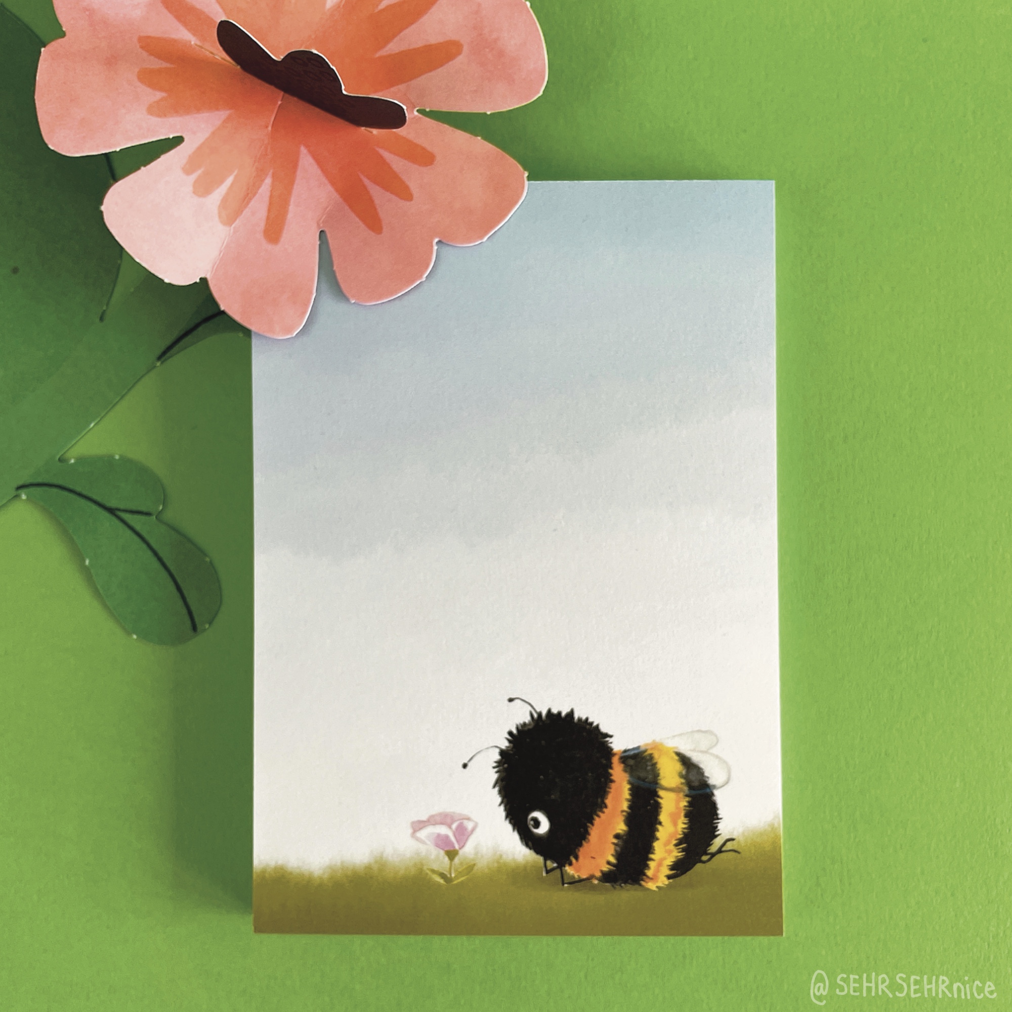 Graskarton, Graspapier, nachhaltig, umweltfreundlich, Postkarte, Vogel, Vögel, Rotkehlchen